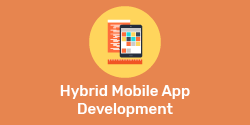 Hybrid Mobile App Development